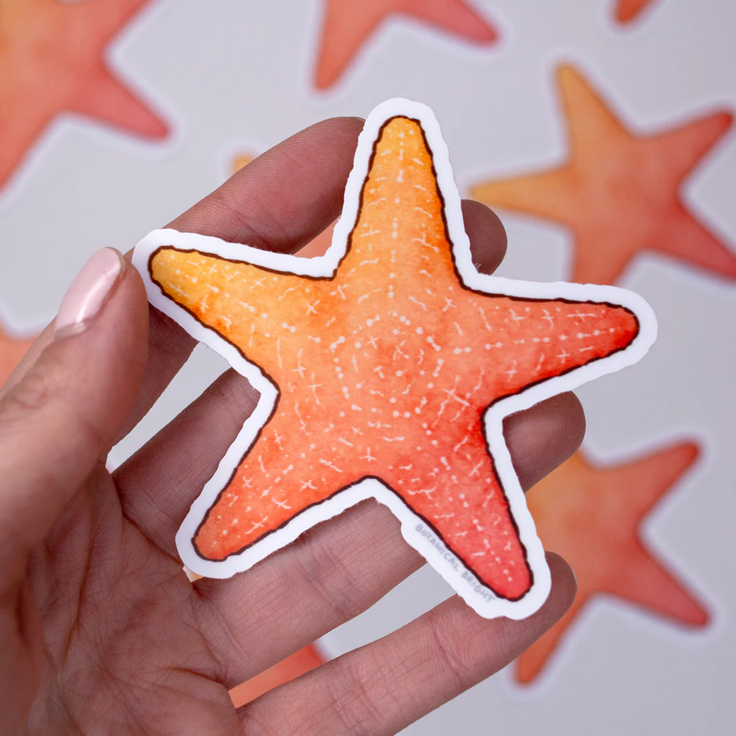 2 inch Star Shape Waterproof Sticker